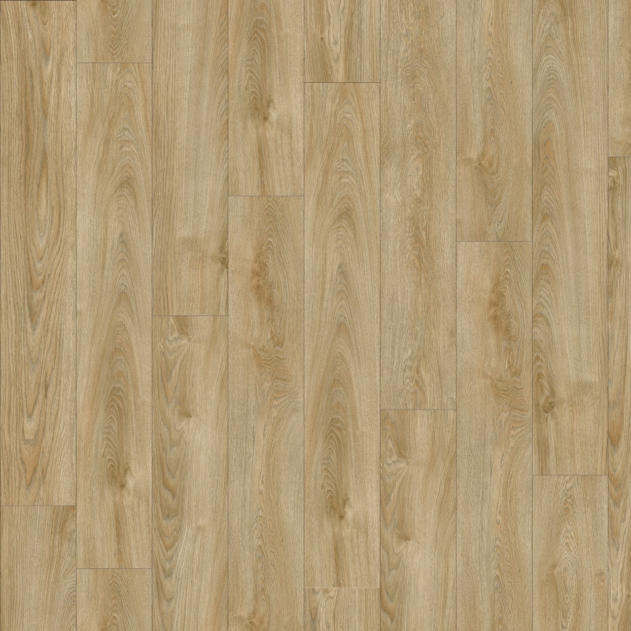 LayRed Midland Oak 22240