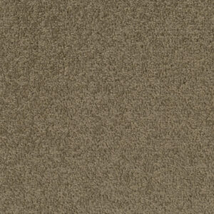 Palatino A072 — Palatino