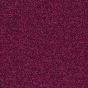 Palatino A072 — Palatino