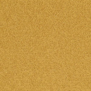 Palatino A072 — Palatino