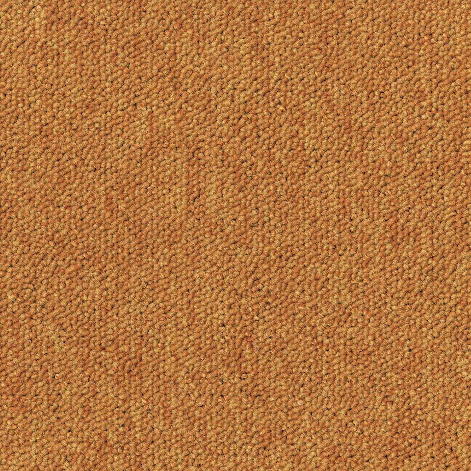 Essence 530 AB05 5420