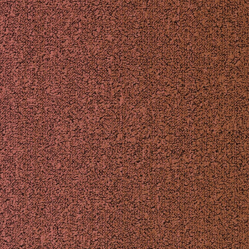 Fuse B755 5131