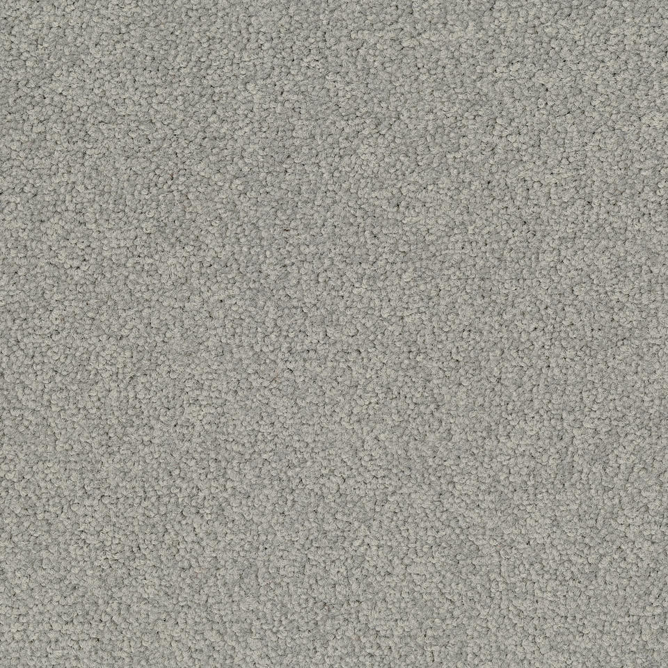Palatino A072 1318