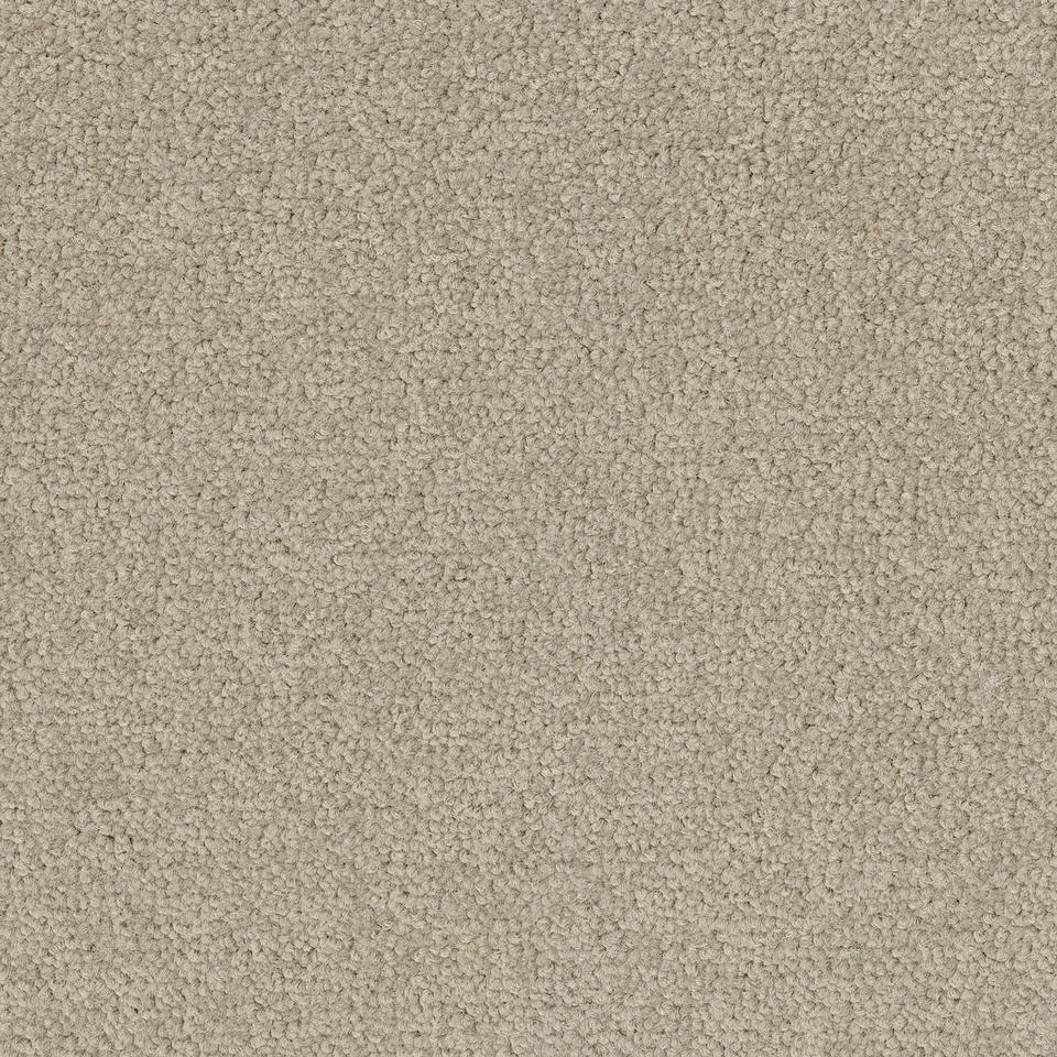Palatino A072 1510