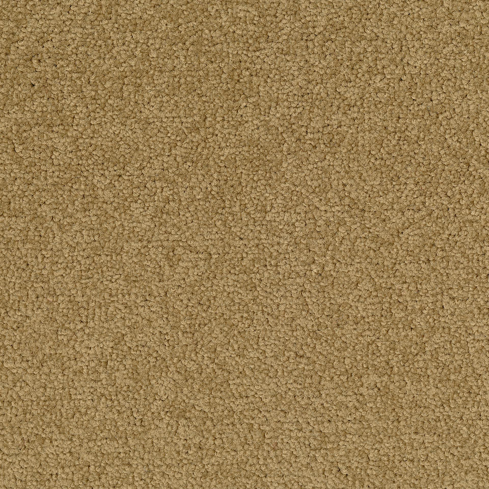 Palatino A072 2036