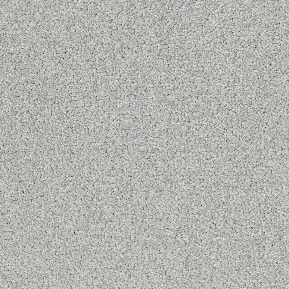 LRV Palatino Ecobase B359 2502