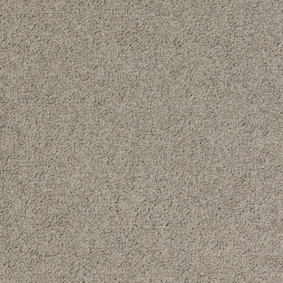 Palatino A072 2923