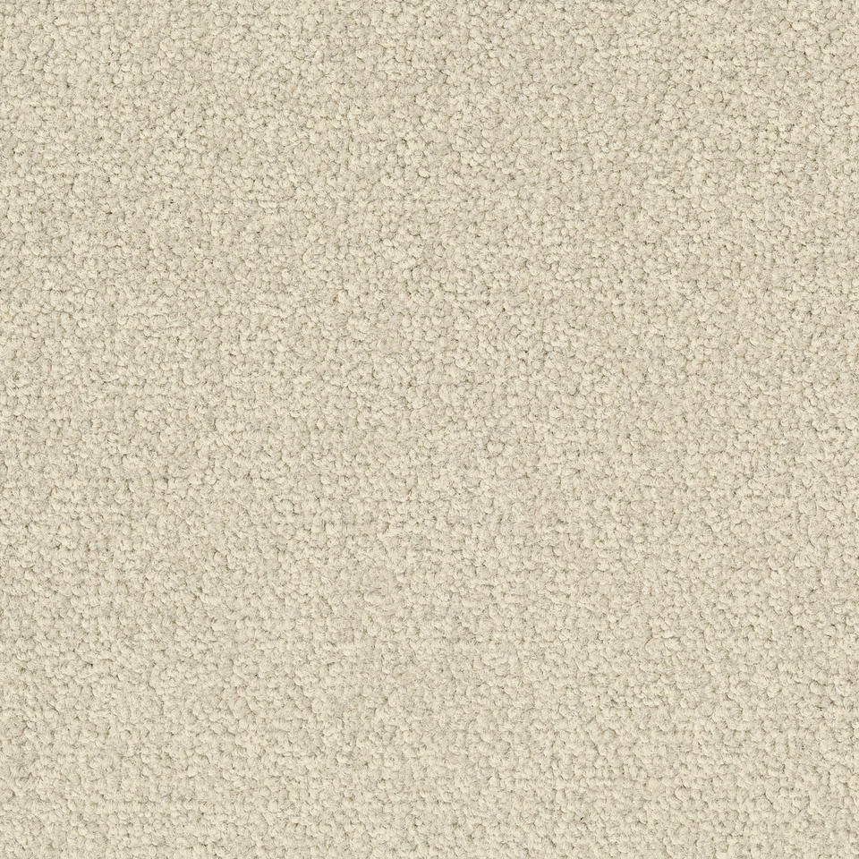 LRV Palatino Ecobase B359 2928