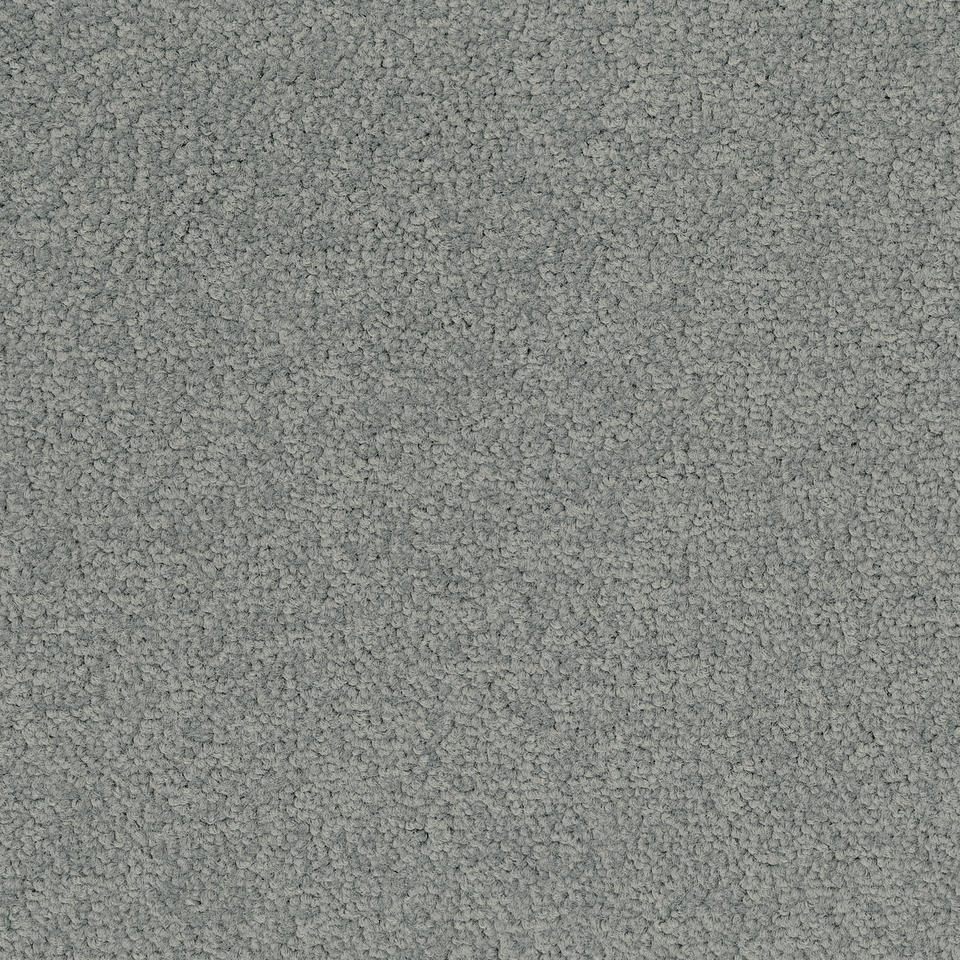 Palatino A072 3502