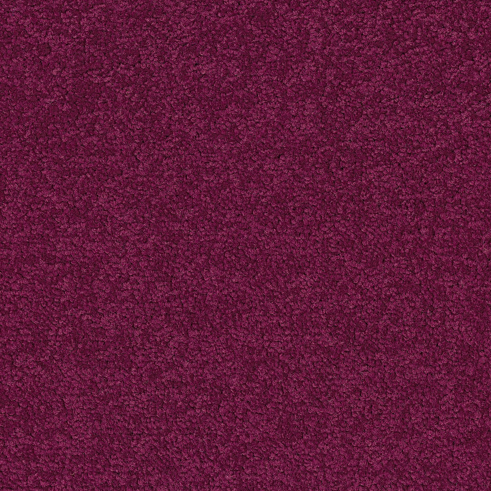 Palatino A072 4020