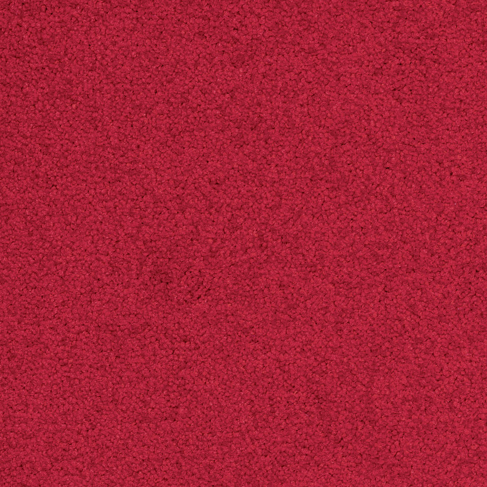 Palatino A072 4301