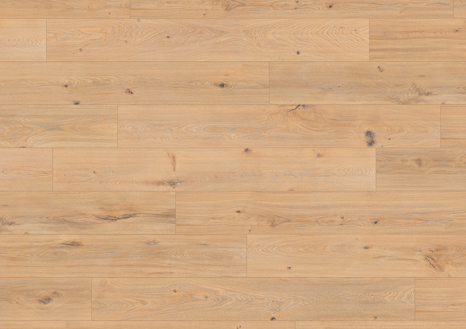 1101250215_AF_Eiche-Midea_OF-Plan_V01_RGB